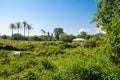 Scenic view over palm trees on tropical island Bubaque, part of the Bijagos Archipelago, Guinea Bissau, Africa