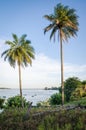 Scenic view over palm trees on tropical island Bubaque, part of the Bijagos Archipelago, Guinea Bissau, Africa Royalty Free Stock Photo