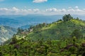 Scenic view over tea plantation and mountain landscape near Munnar in Kerala, South India on sunny day Royalty Free Stock Photo