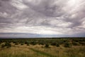 Scenic view on overcast and dynamic clouds over olive trees / Wonderful surroundings panoramic / Beautiful natural environment. Royalty Free Stock Photo