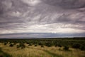 Scenic view on overcast and dynamic clouds over olive trees / Wonderful surroundings panoramic / Beautiful natural environment. Royalty Free Stock Photo