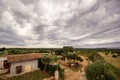 Scenic view on overcast and dynamic clouds over olive trees / Wonderful surroundings panoramic / Beautiful natural environment. Royalty Free Stock Photo