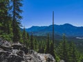 Scenic view of the Pacific Northwest Royalty Free Stock Photo