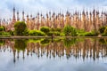 Scenic view of pagodas in Kakku with water reflection, Myanmar