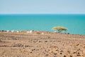 Scenic view of the panoramic desert landscapes of Loiyangalani District against the background of Lake Turkana in Turkana, Kenya