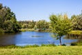 Scenic view of the park in the center of the big city in the summer. With a lagoon in the middle and green trees. Royalty Free Stock Photo