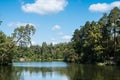 Scenic view of the park in the center of the big city in the summer. With a lagoon in the middle and green trees. In the Royalty Free Stock Photo