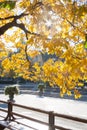 Scenic view of a park in Stockholm. Royalty Free Stock Photo