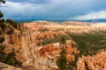 Scenic view of pine trees and hoodoos of Fairyland Point