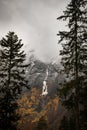 Scenic view of pine trees on a snowy mountain slope in winter Royalty Free Stock Photo