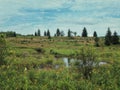 Scenic view of a pond and trees in a field in Dolly Sods, West Virginia Royalty Free Stock Photo