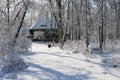 Beautiful winter rural landscape. Royalty Free Stock Photo
