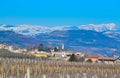 Scenic view of Province of Verona with Vineyards of Soave Alps Italy