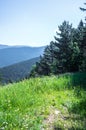 Scenic view on the Pyrenees mountains from the hill