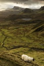 Scenic view of Quiraing mountains in Isle of Skye, Scottish highlands, United Kingdom. Sunrise time with colourful an rayini Royalty Free Stock Photo