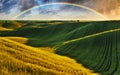 Scenic view of rainbow over green field Royalty Free Stock Photo