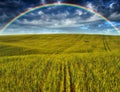 Scenic view of rainbow over green field Royalty Free Stock Photo