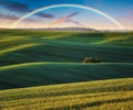 Scenic view of rainbow over green field Royalty Free Stock Photo