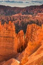Scenic view of red sandstone hoodoos in Bryce Canyon National Park in Utah, USA Royalty Free Stock Photo