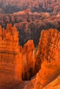 Scenic view of red sandstone hoodoos in Bryce Canyon National Park in Utah, USA Royalty Free Stock Photo