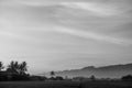 Scenic view of the rice fields in Magelang Central Java Indonesia in black and white photography Royalty Free Stock Photo