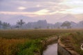 Scenic view of the rice fields in Magelang Central Java Indonesia with dramatic cloud Royalty Free Stock Photo