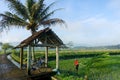 Scenic view of the rice fields in Magelang Central Java Indonesia with a farmer plwing the fields and two bicycle parking Royalty Free Stock Photo
