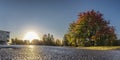 Scenic view of rising Sun behind autumn colored rowan tree, empty parking lot close to typical office building, early morning, Royalty Free Stock Photo