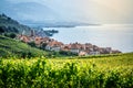 Scenic view of Rivaz village in middle of Lavaux terraced vineyards over Geneva lake in Lavaux Switzerland Royalty Free Stock Photo