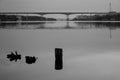 Scenic view of a river in black and white Royalty Free Stock Photo