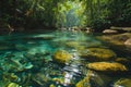 A scenic view of a river flowing through a forest, with vibrant green trees and rocks on its banks, Crystal clear river cutting Royalty Free Stock Photo