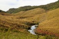 scenic view of river, mountains covered with green trees and clear blue sky Royalty Free Stock Photo