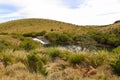 Scenic view of river, rocky mountains covered with green trees and blue sky Royalty Free Stock Photo