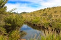 scenic view of river, rocky mountains covered with green trees and clear blue sky, sri lanka, horton plains Royalty Free Stock Photo