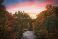 Scenic view of the river surrounded by autumn trees in the forest during pink sunset Royalty Free Stock Photo