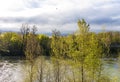 Scenic view of a riverbank featuring a cluster of trees in the foreground. Royalty Free Stock Photo