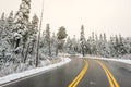 Scenic view of the road in the forest with snow covered