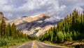 Scenic view of the road on Icefields parkway, Canadian Rockies Royalty Free Stock Photo