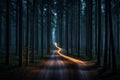 scenic view of a road in a pine trees on a foggy day