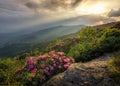 Scenic view, Roan Highlands, Tennessee Royalty Free Stock Photo