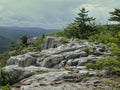 Scenic view of a rocky cliffside in Dolly Sods, West Virginia Royalty Free Stock Photo