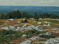 Scenic view of Rocky Mountain side. Dolly Sods, West Virginia Royalty Free Stock Photo