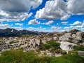 Alpine ecosystem in height of summer, blue skies in the Rocky Mountain National Park