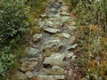 Scenic view of a rocky pathway in the forest of Dolly Sods, West Virginia Royalty Free Stock Photo