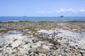 Grand Cayman Rocky Seven Mile Beach Royalty Free Stock Photo