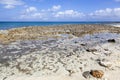 Grand Cayman Seven Mile Beach Rocky Shore Royalty Free Stock Photo