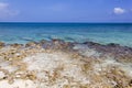 Grand Cayman Island Rocky Beach Royalty Free Stock Photo