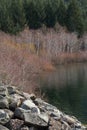 Scenic view of the rocky shore of Thelwood Creek with bare trees at Buttle Lake Royalty Free Stock Photo