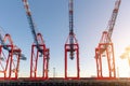 Scenic view row big cargo container ship loading Hamburg city port harbour seaport cranes at warm morning sunrise light Royalty Free Stock Photo