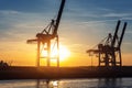 Scenic view row big cargo container ship loading Hamburg city port harbour seaport cranes at warm morning sunrise light Royalty Free Stock Photo